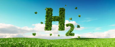 Green Hydrogen Lion Energy