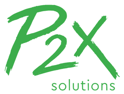 p2x solutions green hydrogen plant