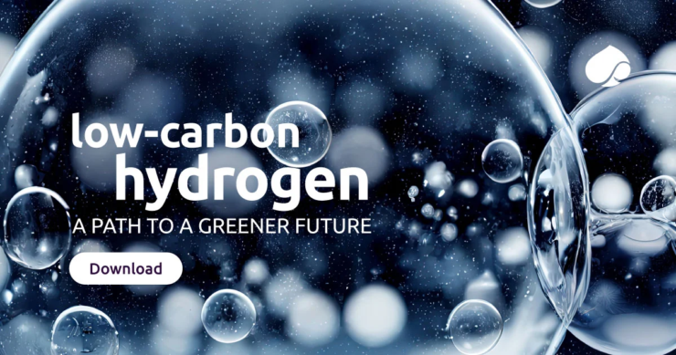 low-carbon hydrogen industries