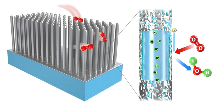 fuel cell architecture durability