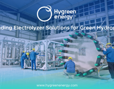 Global Hydrogen Electrolyzer Markets energy