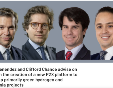 green hydrogen ammonia projects platform