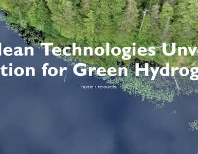 green hydrogen producers