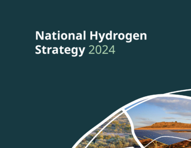 hydrogen strategy leader